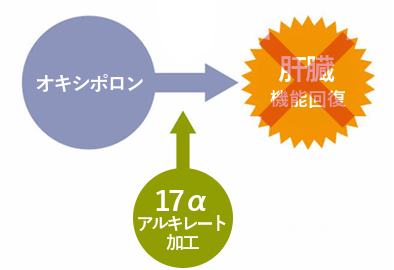 オキシポロンの使用で起こる肝臓負担