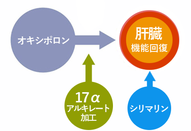 オキシポロンの肝臓疸の改善はシリマリンを使用しよう
