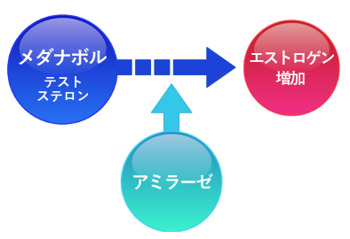 メダナボルの使用で女性化乳房になる原因
