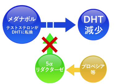 メダナボルの使用で脱毛になる原因